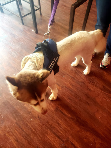 Pet Store «Oak Clips Pet Boutique & Grooming», reviews and photos, 502 N Edgefield Ave, Dallas, TX 75208, USA