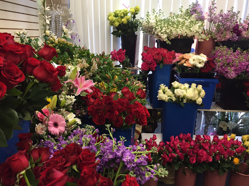 Florist «Exotica Florist», reviews and photos, 10376 Main Street, Fairfax, VA 22030, USA