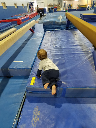 Aquatic Centre «Fairland Sports and Aquatics Center», reviews and photos, 13950 Old Gunpowder Rd, Laurel, MD 20707, USA