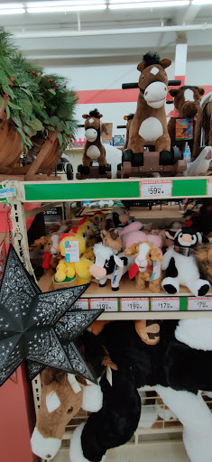 Home Improvement Store «Tractor Supply Co.», reviews and photos, 2385 E Market St, Harrisonburg, VA 22801, USA