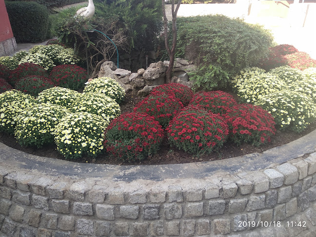 Unnamed Road, 4490 Септември