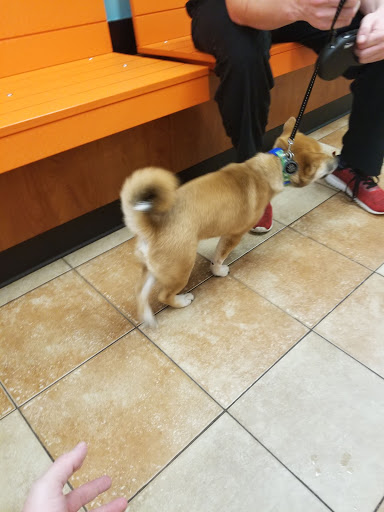 Pet Supply Store «PetSmart», reviews and photos, 1700 Fruitville Pike, Lancaster, PA 17601, USA