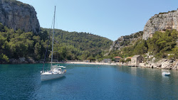 Photo de Plage de Veliki Pokrivenik avec petite baie