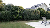 Goodson Lawn Care & Tree Service - Photo 6 - Car repair in Panama City, FL, Panama City