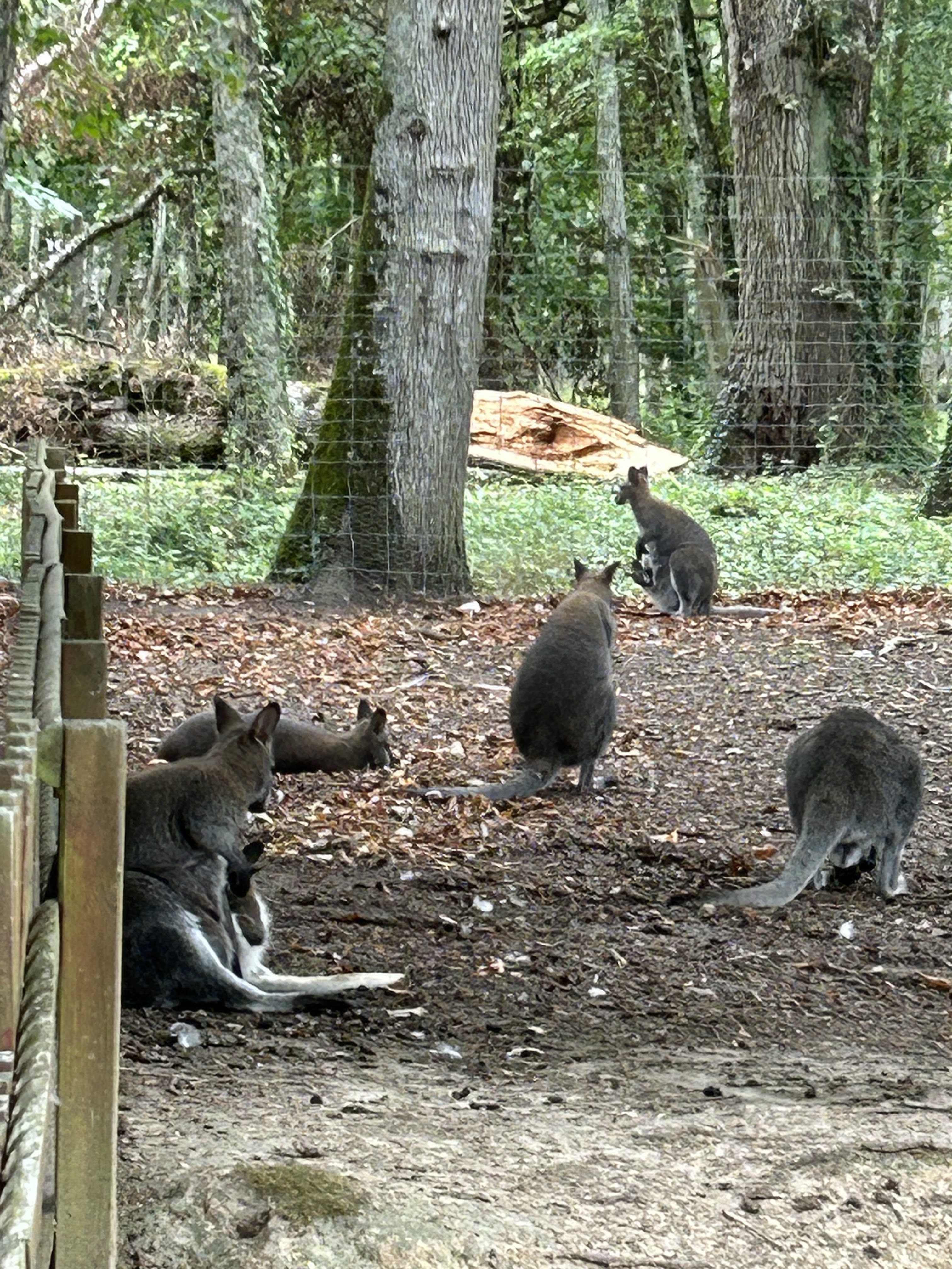 Photo n° 1 de l'avis de Nicole.o fait le 11/08/2023 à 19:50