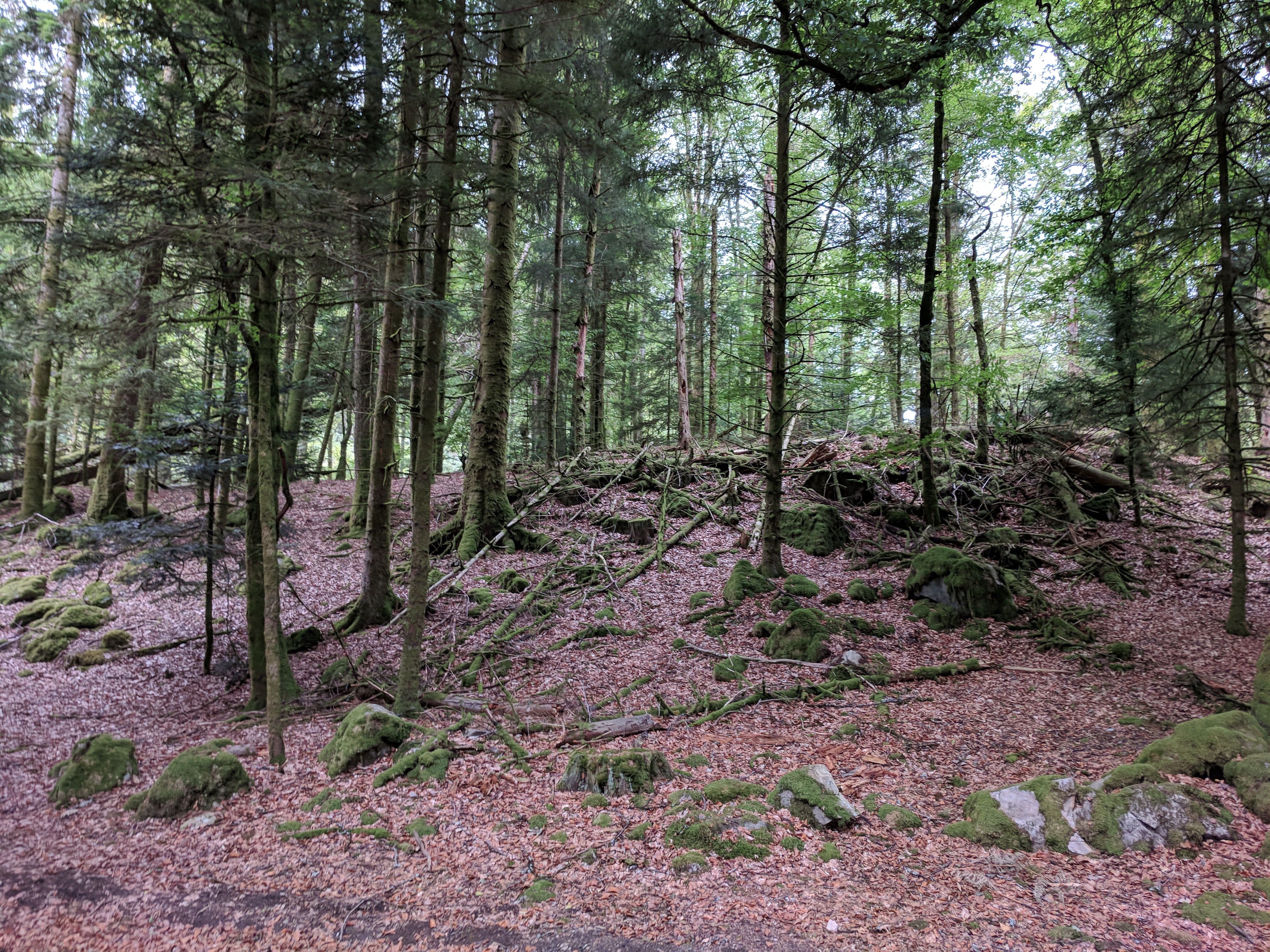 Photo n° 21 de l'avis de LAMBERT.r fait le 27/08/2018 à 11:58