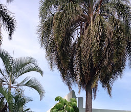 Hotel Puerta del Sol photo