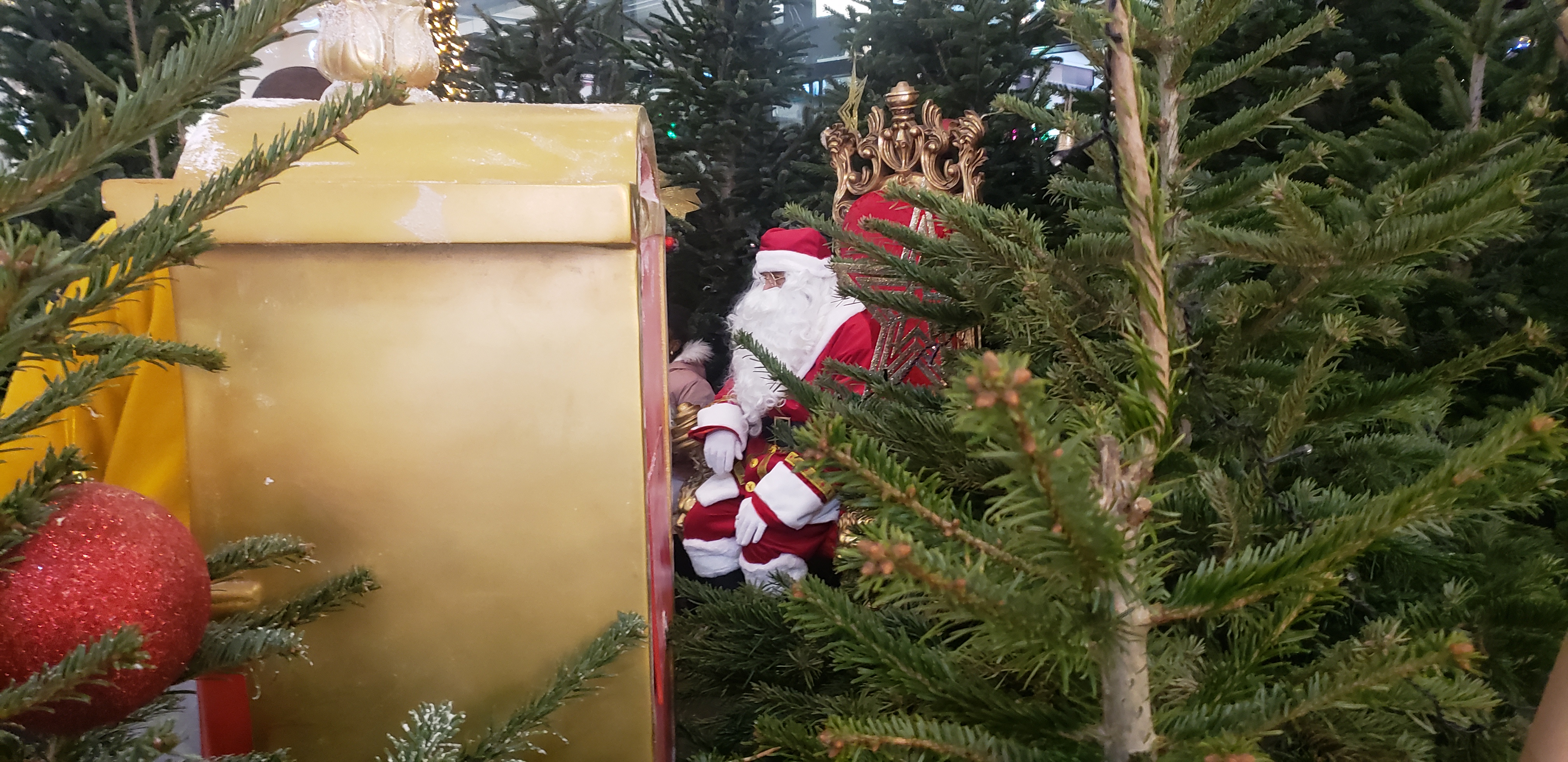 Photo n° 13 de l'avis de lili.8 fait le 12/12/2021 à 19:16