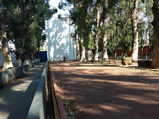 Parque Los Bebederos