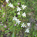 Photo n°2 de l'avis de Daniela.a fait le 31/03/2017 à 14:45 sur le  Hotel Garden con Piscina - Bike Hotel - Ristorante tipico - Terme di Tabiano à Bagni di Tabiano