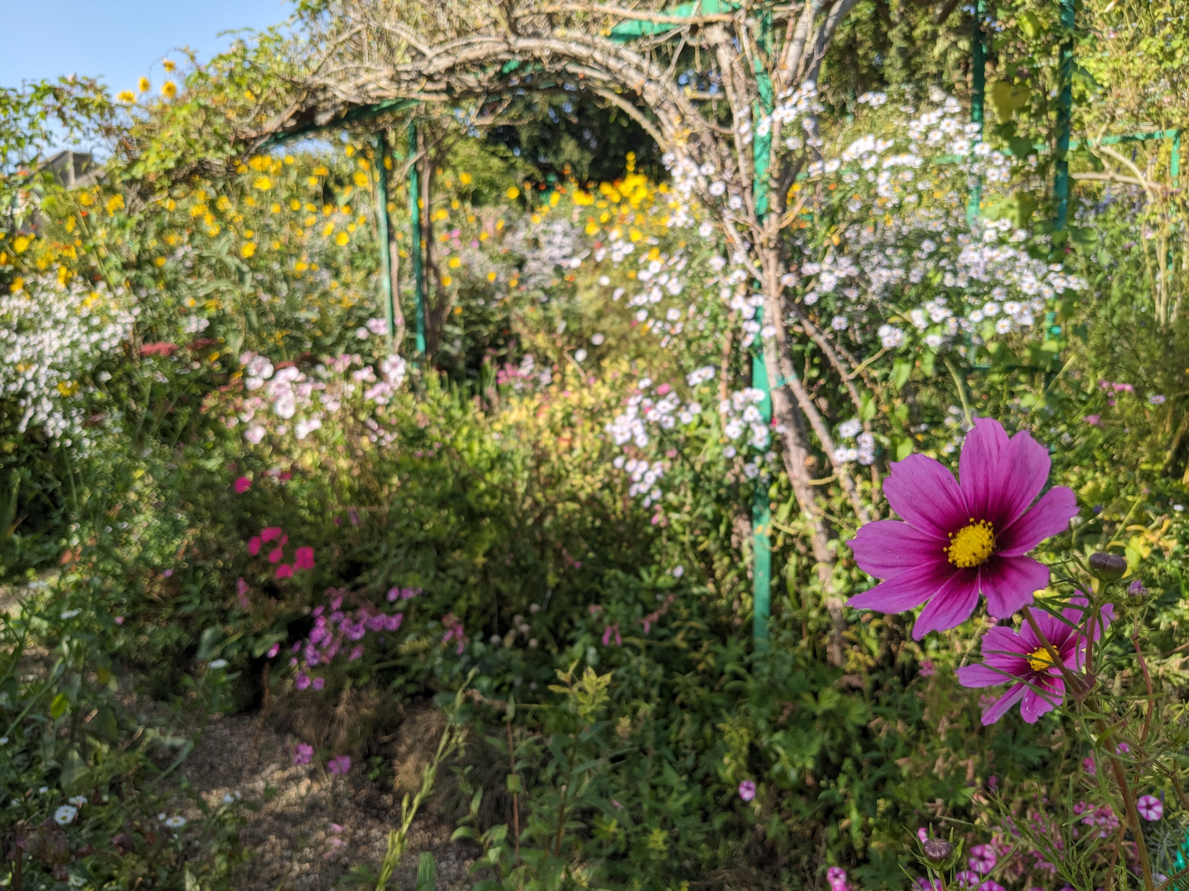 Photo n° 7 de l'avis de Laurence.o fait le 11/10/2023 à 19:39