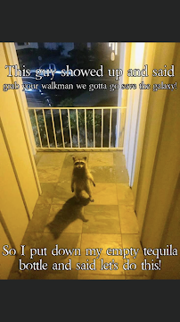 Juvin Pest Management And Lawn Care Service - Photo 8 - Car repair in , Anaheim