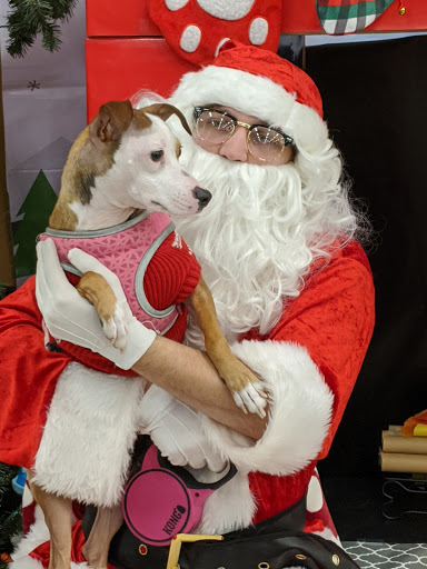 Pet Supply Store «PetSmart», reviews and photos, 625 Baltimore Blvd, Westminster, MD 21157, USA