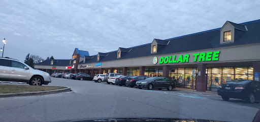 Dollar Tree image 10