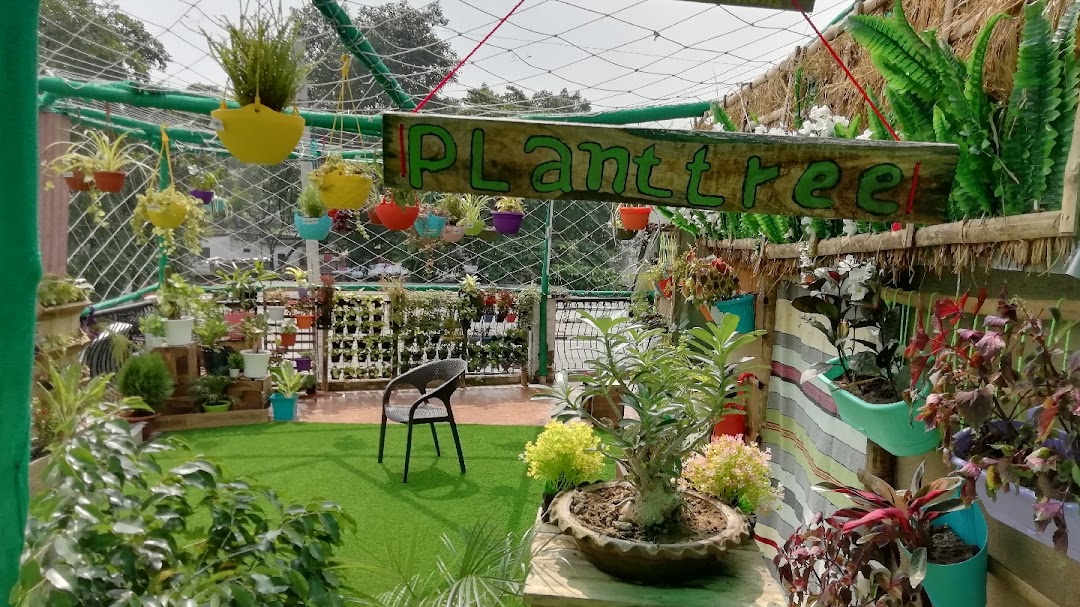 planttree.in