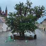 Photo n°2 de l'avis de Grete.e fait le 25/05/2023 à 05:09 sur le  Bluhm's Hotel & Restaurant Am Markt à Kyritz