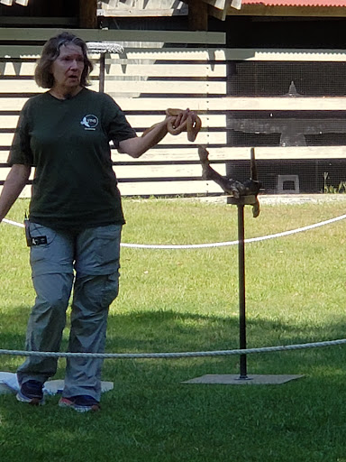 Environmental Organization «VINS Nature Center», reviews and photos, 6565 Woodstock Rd, Quechee, VT 05059, USA