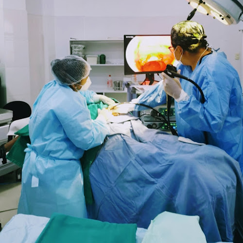 Comentarios y opiniones de Cirugía Tacna, Dr Edwin Medina,