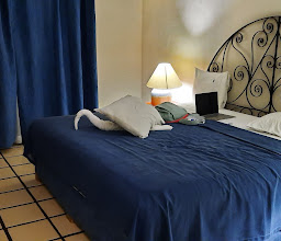 Hotel Puerto de Luna Pet Friendly & Family Suites photo