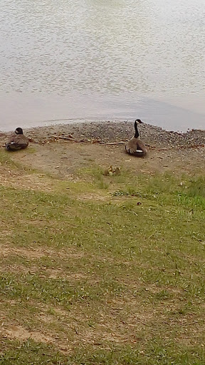 Nature Preserve «Liberty Reservoir», reviews and photos, 5685 Oakland Rd, Eldersburg, MD 21784, USA