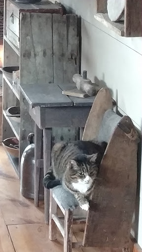 Auto Repair Shop «Certified Tractor Auto Repair», reviews and photos, 14132 Worden Rd, Gregory, MI 48137, USA