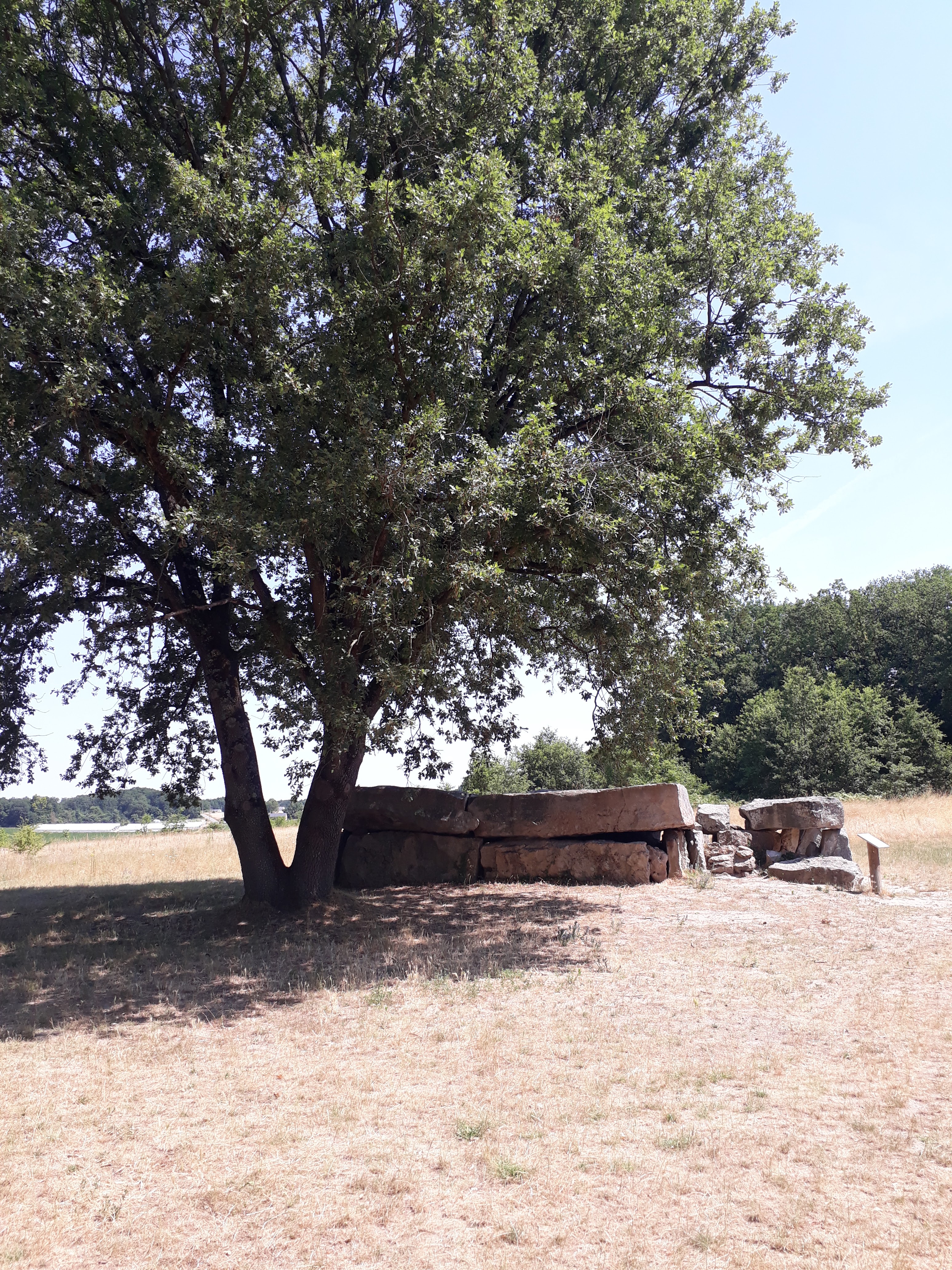 Photo n° 1 de l'avis de Jean-François.a fait le 09/07/2019 à 17:55