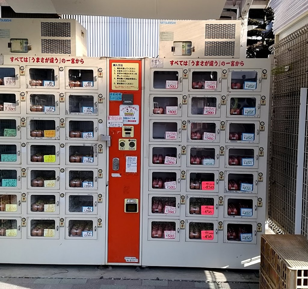 産みたて卵直売所