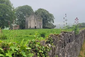 Fennor Castle image