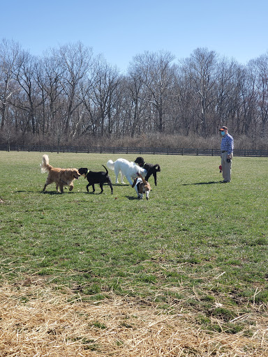 Three Creeks Park Dog Park