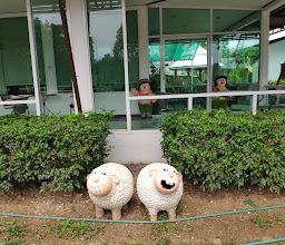 สวนช่อฟ้า photo