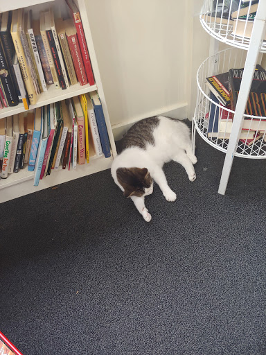 Book Store «Paperback Exchange», reviews and photos, 201 W Main St, Lancaster, OH 43130, USA