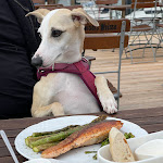 Photo n°3 de l'avis de Sindy.e fait le 01/05/2024 à 22:10 sur le  Wackerpulco à Gelting