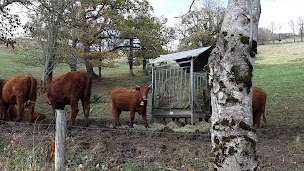 Photo n°74 de La Rocade à Giou-de-Mamou ()