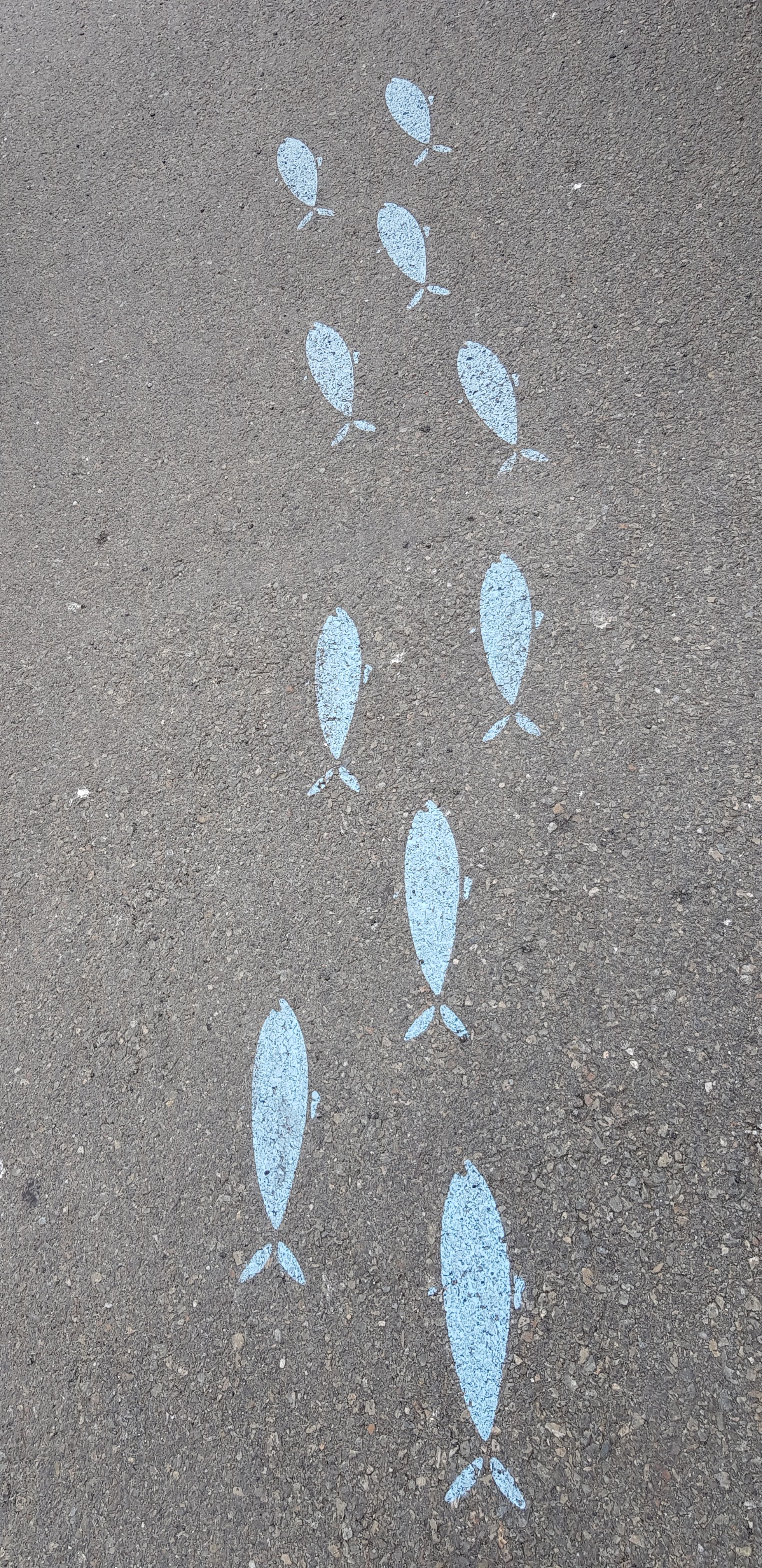 Photo n° 1 de l'avis de audrey.i fait le 12/07/2018 à 14:58