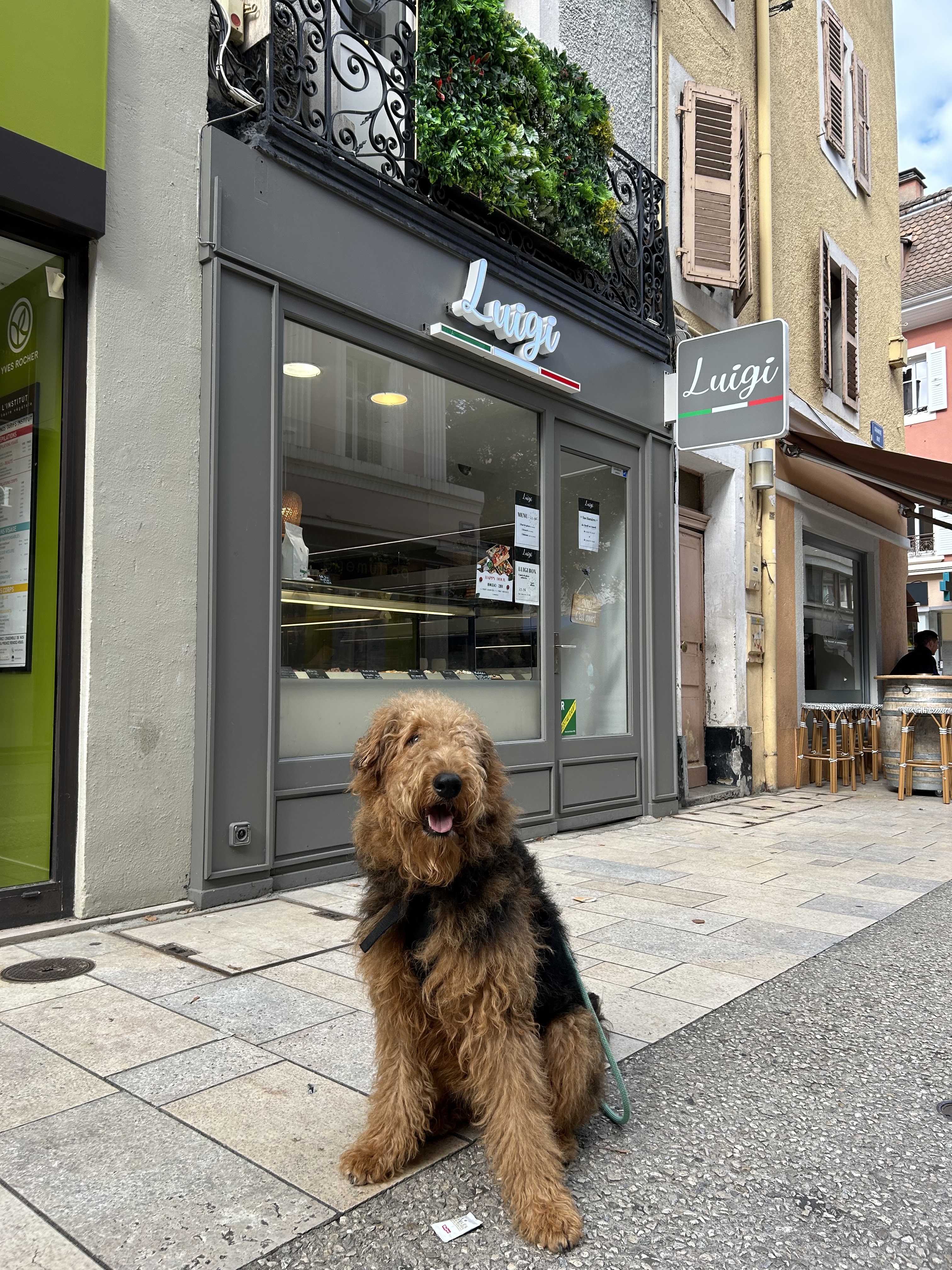 Photo n° 1 de l'avis de Michele.� fait le 21/10/2023 à 15:55