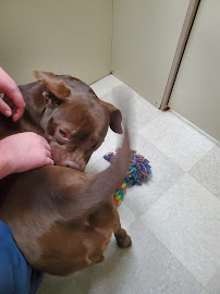 Petland Village of Eastside - Photo 7 - Car repair in Pittsburgh, PA, Pittsburgh