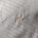 Photo n°1 de l'avis de Ju.a fait le 30/10/2023 à 12:51 sur le  Good Morning Berlin City West à Berlin