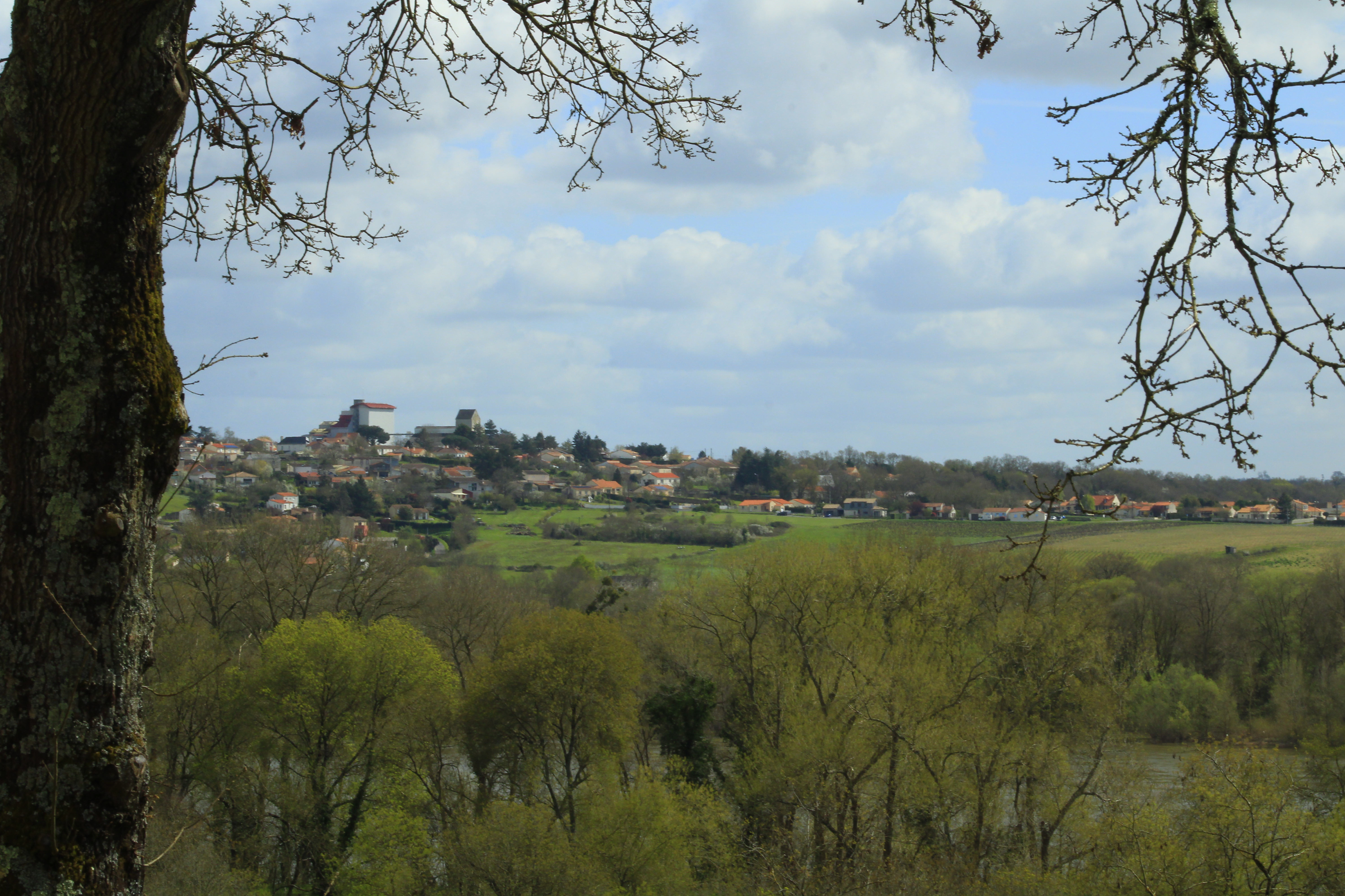 Photo n° 2 de l'avis de jean-pierre.a fait le 24/03/2024 à 18:05