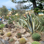 Photo n°2 de l'avis de Annamaria.e fait le 07/06/2023 à 06:14 sur le  Giardini Poseidon Terme à Forio