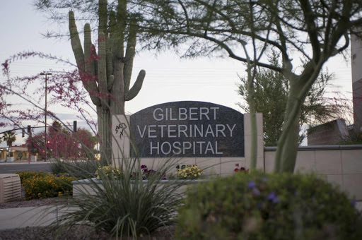 Gilbert Veterinary Hospital