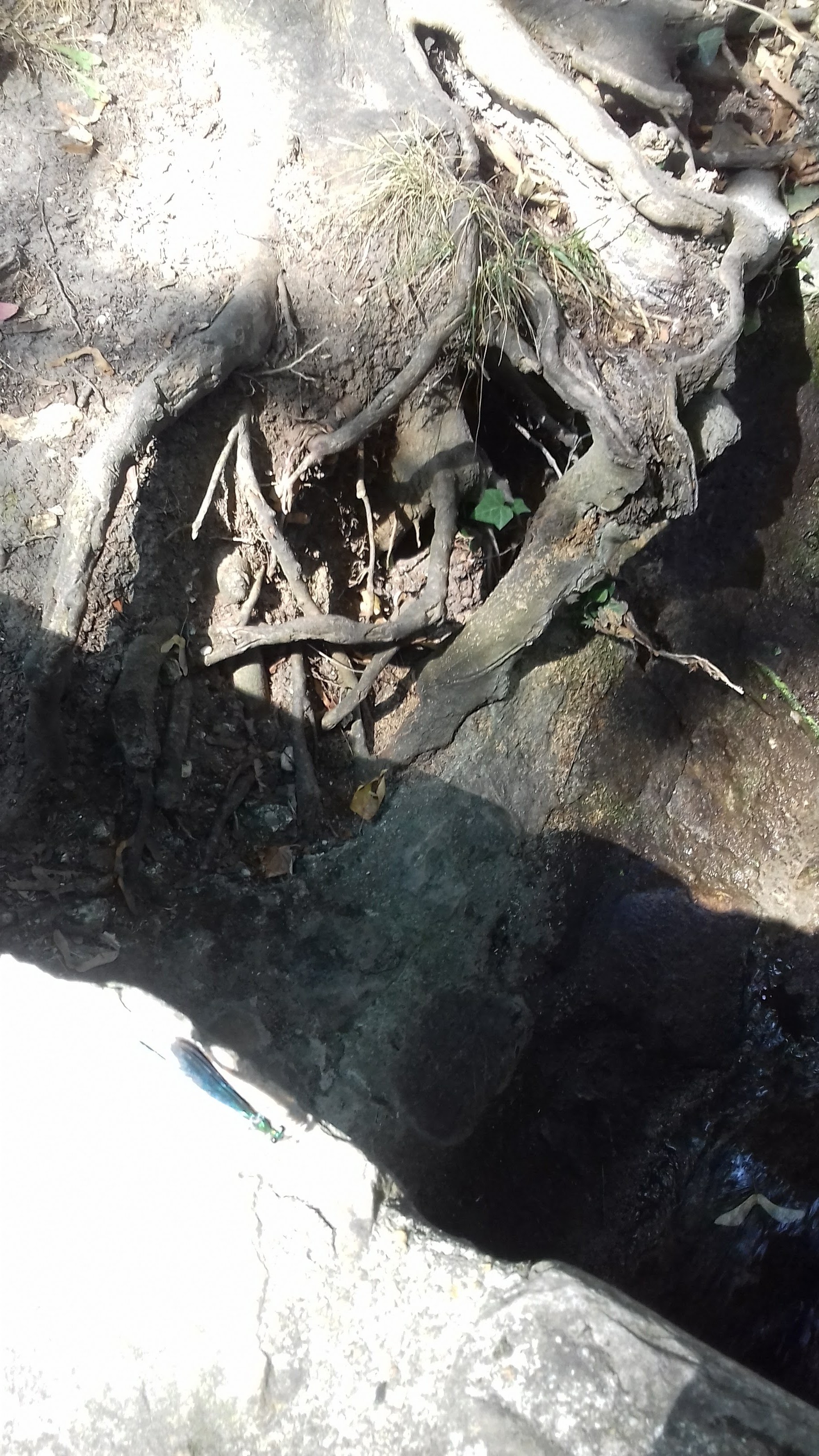 Photo n° 1 de l'avis de Madeleine.J fait le 26/07/2018 à 06:08