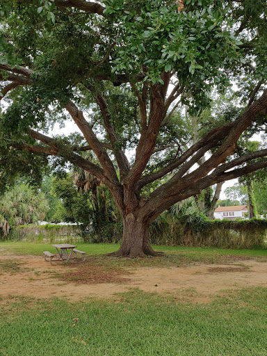 Park «Lake Fairview Park», reviews and photos, 2200 Lee Rd, Orlando, FL 32810, USA