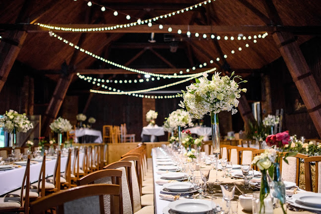 DecorPro - studio florystyki i dekoracji - Inny