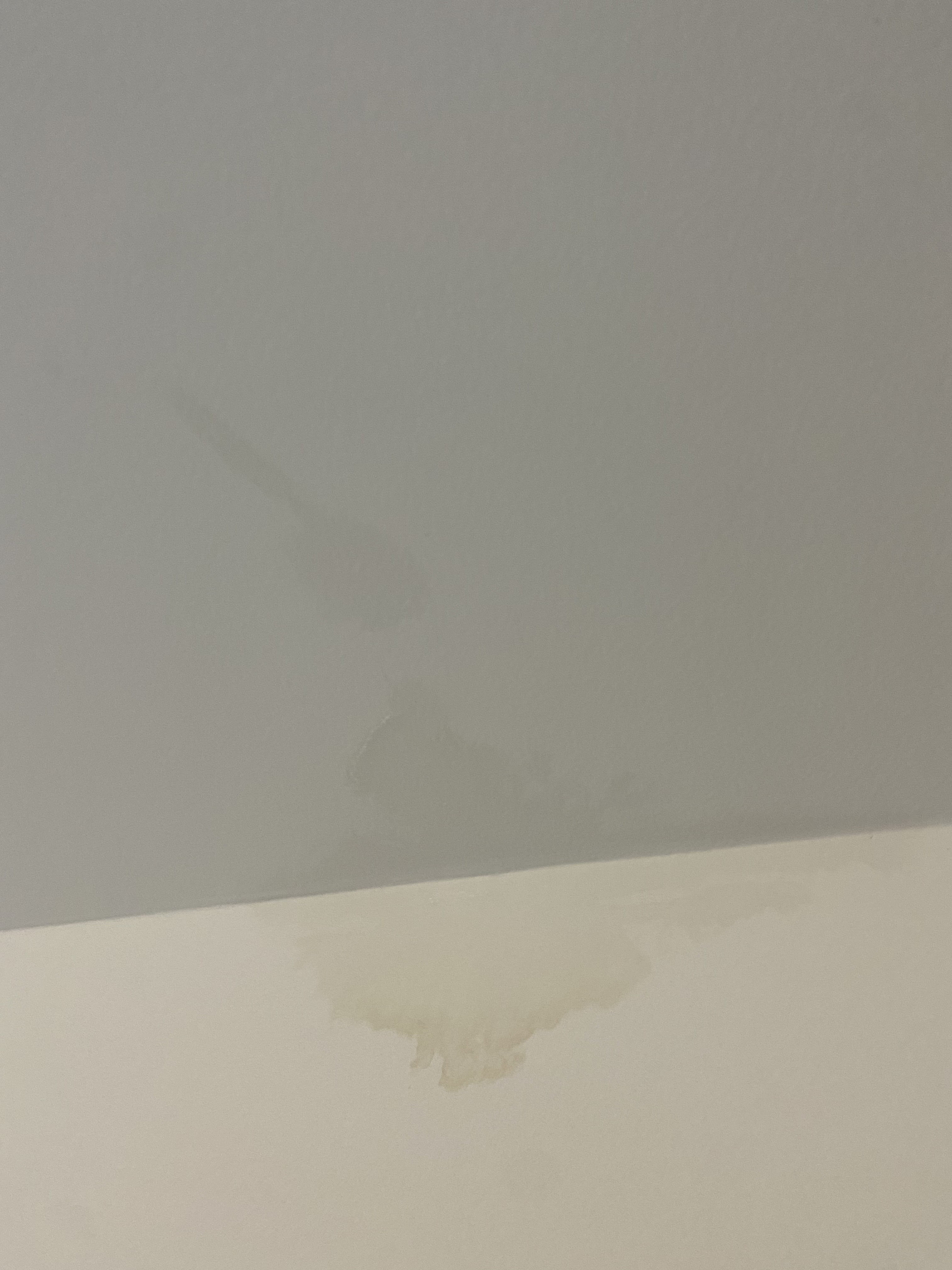 Photo n° 3 de l'avis de Alecs.o fait le 23/03/2023 à 14:27