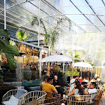 Photo n°1 de l'avis de Anna.r fait le 08/05/2023 à 19:35 sur le  Wunderkammer à Castel Gandolfo