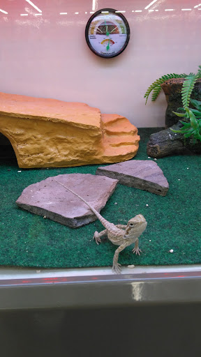 Pet Supply Store «Pet Supplies Plus», reviews and photos, 720 Hoosick Rd, Troy, NY 12180, USA