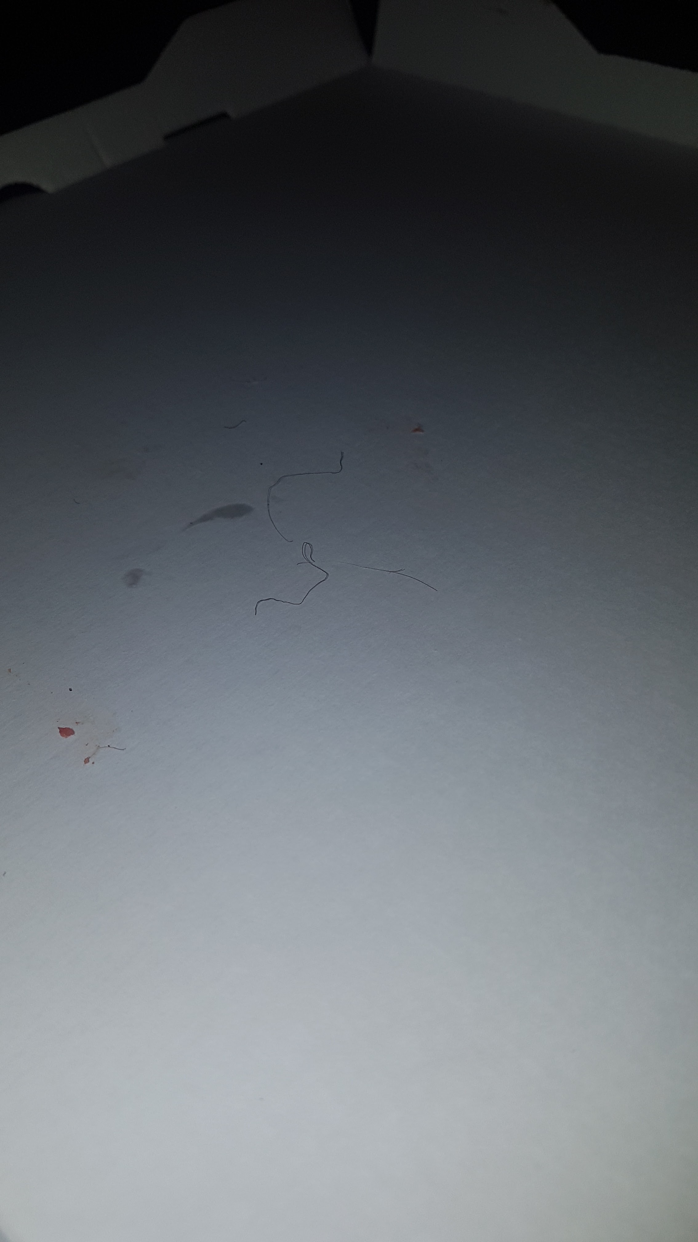 Photo n° 2 de l'avis de Sandra.a fait le 02/01/2022 à 19:45