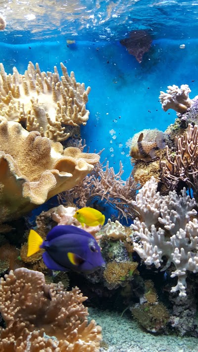 Photos of X-bike, der Zweiradprofi