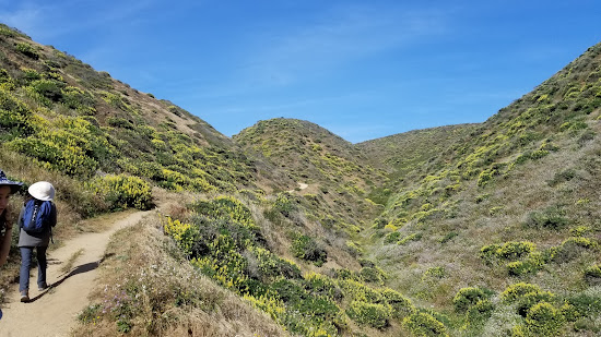 McClures Beach