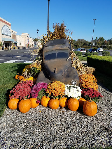 Amusement Center «iPlay America», reviews and photos, 110 Schanck Rd, Freehold, NJ 07728, USA